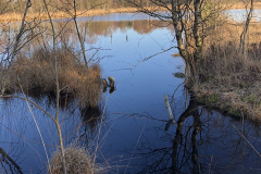 Burg-zu-Hagen_Koenigsmoor_10