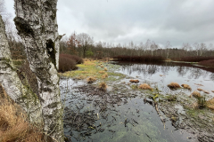 Burg-zu-Hagen_Koenigsmoor_32