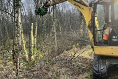 Burg-zu-Hagen_Koenigsmoor_37