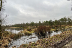 Burg-zu-Hagen_Koenigsmoor_38