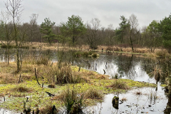 Burg-zu-Hagen_Koenigsmoor_40
