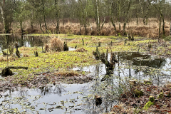 Burg-zu-Hagen_Koenigsmoor_41
