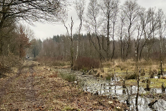 Burg-zu-Hagen_Koenigsmoor_42