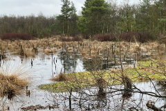 Burg-zu-Hagen_Koenigsmoor_43