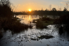 Burg-zu-Hagen_Koenigsmoor_44