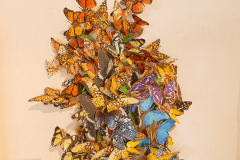 Burg-zu-Hagen_Ausstellung-Paper-Art-Eroeffnung_02