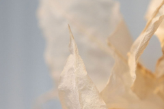 Burg-zu-Hagen_Ausstellung-Paper-Art_OC_15