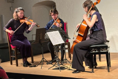 Burg-zu-Hagen_Neujahrskonzert_02